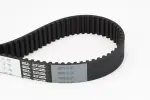 CONTINENTAL CTAM  Hammasrihm CT990