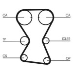 CONTINENTAL CTAM Hammasrihma komplekt CT1000K1