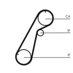 CONTINENTAL CTAM  Hammasrihm CT1020