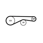 CONTINENTAL CTAM  Hammasrihm CT1095