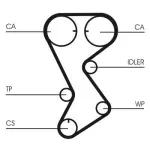 CONTINENTAL CTAM Hammasrihm CT1144