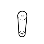 CONTINENTAL CTAM CT1236WP1