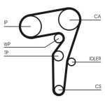 CONTINENTAL CTAM Hammasrihma komplekt CT1261K1