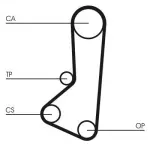 CONTINENTAL CTAM  Hammasrihm CT511