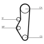 CONTINENTAL CTAM Hammasrihm CT525