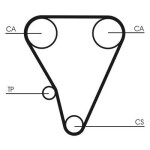 CONTINENTAL CTAM  Hammasrihm CT555