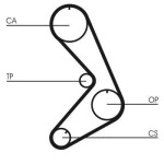 CONTINENTAL CTAM Hammasrihm CT749