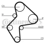 CONTINENTAL CTAM  Hammasrihm CT775