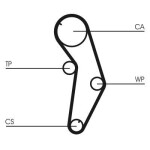 CONTINENTAL CTAM Hammasrihm CT821