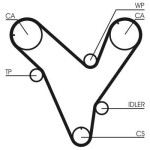 CONTINENTAL CTAM Hammasrihm CT829