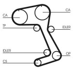 CONTINENTAL CTAM  Hammasrihm CT831