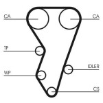 CONTINENTAL CTAM  Hammasrihm CT864