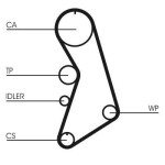CONTINENTAL CTAM  Veepump + hammasrihmakomplekt CT909WP5