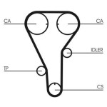 CONTINENTAL CTAM  Hammasrihm CT972