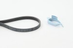 CONTINENTAL CTAM Soonrihmakomplekt 4PK874 ELAST T1