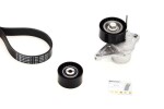 CONTINENTAL CTAM Soonrihmakomplekt 7PK1666K1
