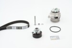 CONTINENTAL CTAM Veepump + hammasrihmakomplekt CT846WP3