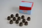 CORTECO Klapisääretihendite komplekt 19036078