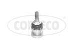 CORTECO  Kande-/juhtliigend 49398857