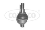 CORTECO Kande-/juhtliigend šarniir 49398883