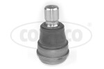CORTECO Kande-/juhtliigend šarniir 49399547