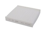 CORTECO Filter,  salongiõhk 80004638