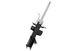 DACO Amort 451012R