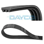 DAYCO Soonrihm 3PK590