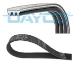 DAYCO Soonrihm 3PK668