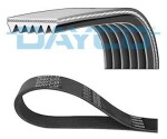 DAYCO Soonrihm 6PK2040