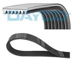DAYCO  Soonrihm 7PK1988