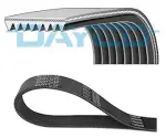 DAYCO 8PK1955SHD
