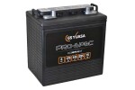 Yuasa Pro-Spec aku