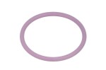 DELPHI 7200-0054-12B1 / gasket delphi 7200-0054 7200-016
