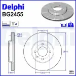 DELPHI Piduriketas BG2455