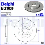 DELPHI Piduriketas BG3036