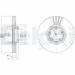 DELPHI Piduriketas BG3366