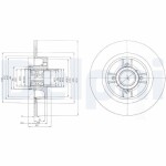DELPHI Piduriketas BG9029RS