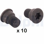 DELPHI piduriketta polt BGK007