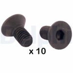 DELPHI piduriketta polt BGK008