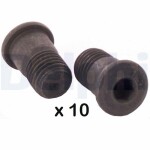 DELPHI piduriketta polt BGK009