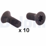 DELPHI piduriketta polt BGK010