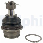DELPHI  Kande-/juhtliigend TC2437