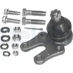 DELPHI  Kande-/juhtliigend TC325