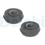 DELPHI Puks TD166W