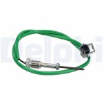 DELPHI Andur, heitgaasitemperatuur TS30401-12B1