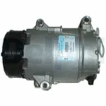 DELPHI Kompressor,  kliimaseade 12V TSP0155351