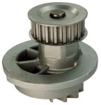 DENCKERMANN Veepump,  mootori jahutus A310006P