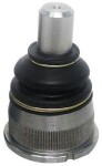 DENCKERMANN  Kande-/juhtliigend D110040