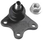 DENCKERMANN  Kande-/juhtliigend D110115